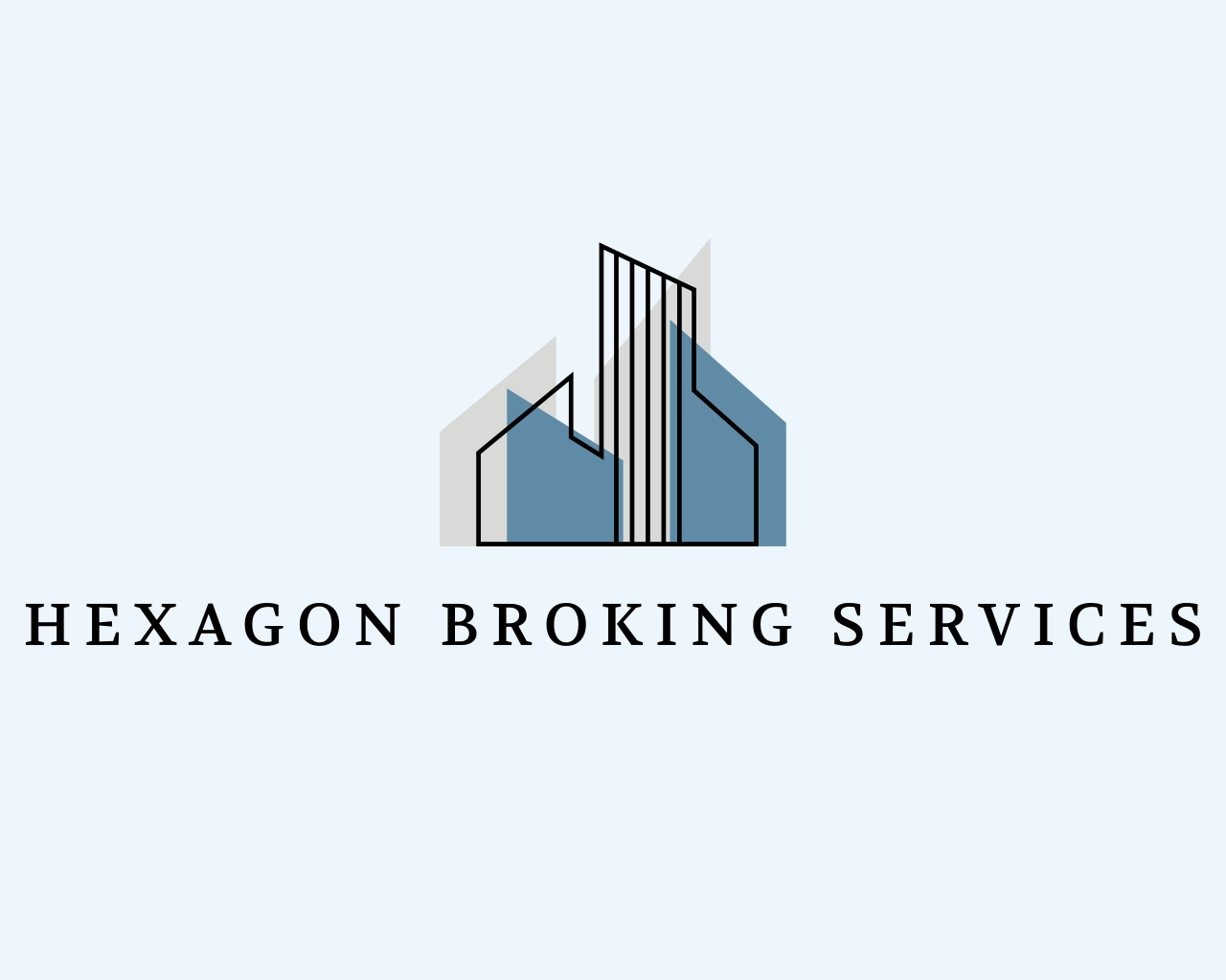 Hexagon Broking Services